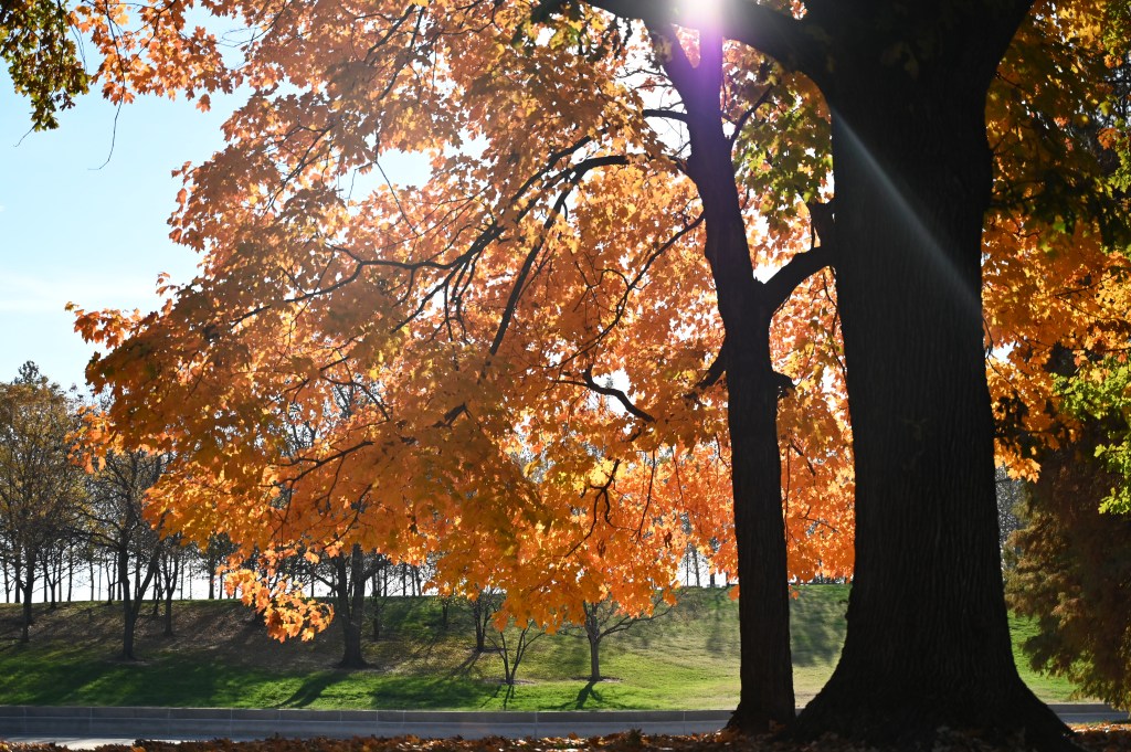 When the Light Turns to&nbsp;Gold